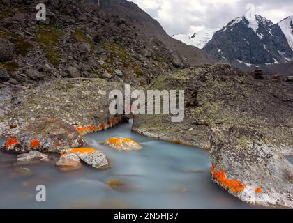 La rivière alpine coule sous des pierres avec de la mousse orange provenant de hautes montagnes avec des glaciers et de la neige en Altai en Sibérie pendant la journée en été. Banque D'Images