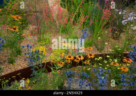 Corten circulaire d'acier et de gravier autour de vivaces colorées dans le jardin au-dessus du mur au RHS Hampton court Garden Festival 2022. Banque D'Images