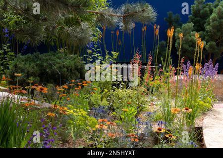 Couleurs chaudes autour d'un trait d'eau circulaire dans le jardin au-dessus du mur au RHS Chelsea Flower Show 2022. Banque D'Images