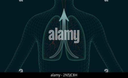 Action efficace du remède contre la toux ou de l'inhalation 3D illustration. Le processus de récupération des poumons après une pneumonie, une infection virale ou un rhume Banque D'Images