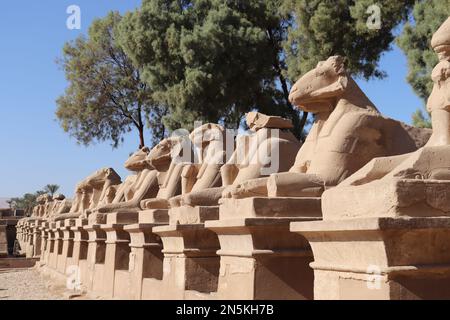Statues de sphinx à tête de RAM au temple de Karnak à Louxor, en Égypte Banque D'Images