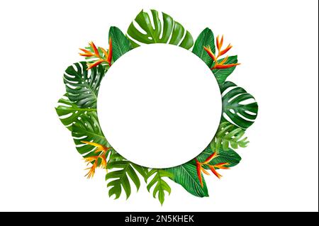 Forêt tropicale avec des feuilles et des fleurs entourant un cadre de cercle blanc sur fond blanc. Banque D'Images