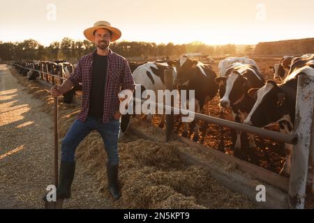 Travailleur avec une pelle près d'un enclos de vache à la ferme. Élevage Banque D'Images