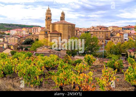 Elciego Espagne ville en Alava pays Basque avec vue sur le vignoble Banque D'Images