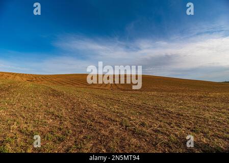 Terrain labouré avec tracteur, Sicile Banque D'Images