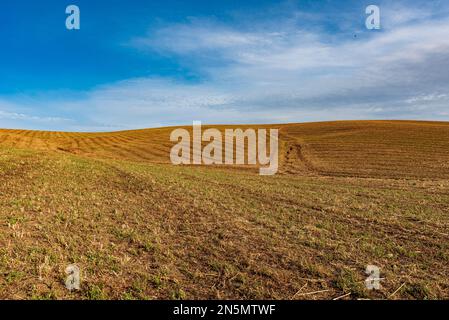 Terrain labouré avec tracteur, Sicile Banque D'Images