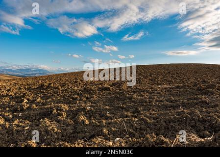 Terrain labouré avec tracteur, Sicile Banque D'Images