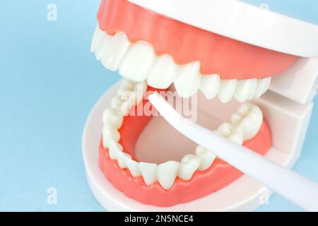 Fausses dents avec un irrigateur à cavité buccale qui nettoie les dents et les mâchoires. Instruments de dentisterie et concept de contrôle de l'hygiéniste dentaire Banque D'Images