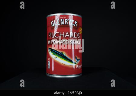 EXETER, DEVON, Royaume-Uni - 10 JANVIER 2023 Glenryck est une marque de poisson en conserve basée en Afrique du Sud, petite boîte de pilines dans la sauce tomate Banque D'Images