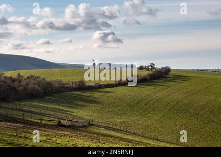 Vue sur les champs verts dans les South Downs lors d'une journée d'hiver ensoleillée Banque D'Images