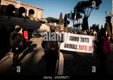 Rome, Italie, Italie. 7th févr. 2023. L'Association des animaux s'assoit à la place del capitol Hill, Rome, pour protester contre l'abattage des sangliers dans la capitale. (Credit image: © Andrea Ronchini/Pacific Press via ZUMA Press Wire) USAGE ÉDITORIAL SEULEMENT! Non destiné À un usage commercial ! Banque D'Images