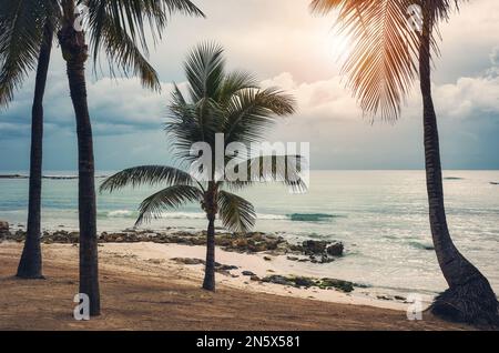 Image colorée d'une plage tropicale vide, concept de voyage, Mexique. Banque D'Images