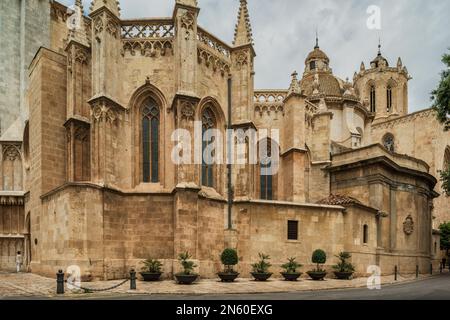 Cathédrale Basilique Metropolitan et primat de Santa Tecla la plus grande de Catalogne dans le style gothique précoce dans la ville de Tarragone, Catalogne, Espagne, Banque D'Images