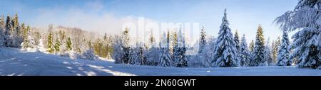 Montagnes de Beskid en hiver, panorama de la glade montagne enneigée avec forêt de conifères couverte de neige, Hala Slowianka, Pologne. Banque D'Images