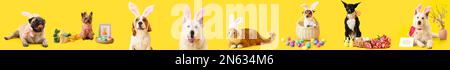 Collage de chiens et chats mignons avec oreilles de lapin et œufs de Pâques sur fond jaune Banque D'Images