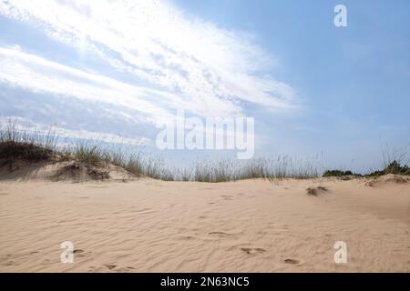 Sable sec avec empreintes humaines dans le désert par beau temps Banque D'Images