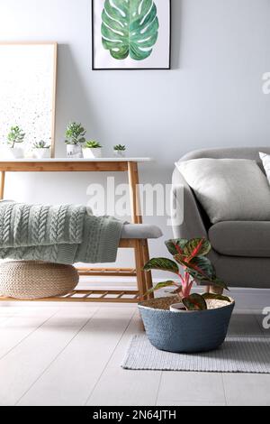 Couverture tricotée pliée sur le banc près du canapé à l'intérieur. Intérieur de la maison Banque D'Images