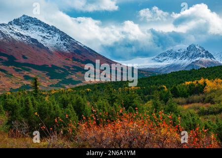 Automne en Alaska Banque D'Images