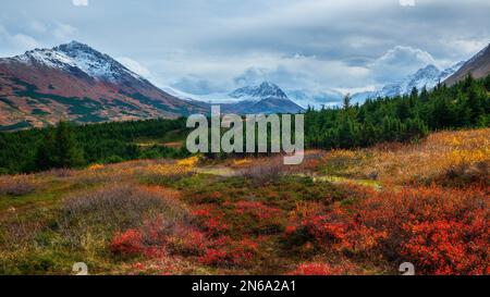 Automne en Alaska Banque D'Images