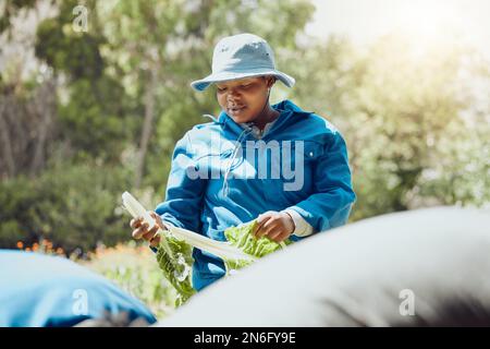 Personne ne met de bébé épinards dans un coin. un jeune agriculteur attrayant debout et moissonnant des épinards. Banque D'Images