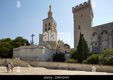 Palais papal, Avignon, Provence-Alpes-Côte d'Azur, France Banque D'Images