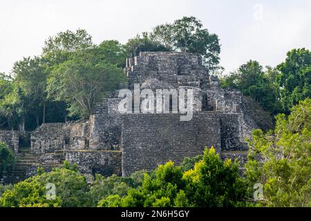 Patrimoine mondial de l'UNESCO Calakmul, Campeche, Mexique Banque D'Images
