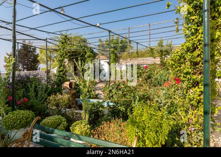 Jardin dans le monastère de Paleokastritsa sur l'île de Corfou, Grèce Banque D'Images