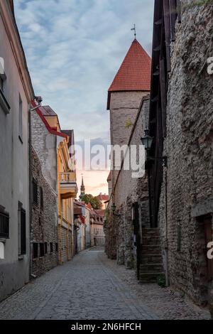 Tour d'Epping et allée Laboratooriumi sur le mur de la ville, fortification de la ville de Chevaler (Tallinna linnamueuer), Tallinn, Estonie Banque D'Images