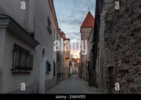 Tour d'Epping et allée Laboratooriumi sur le mur de la ville, fortification de la ville de Chevaler (Tallinna linnamueuer), Tallinn, Estonie Banque D'Images