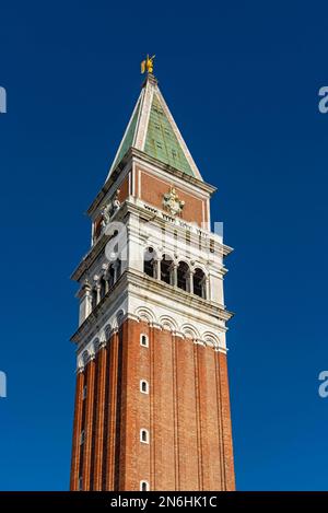 Campanile St Marc, Piazza San Marco, Venise, Italie Banque D'Images