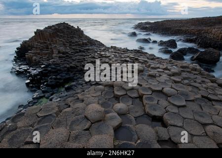Basalt Rock Giant Causeway, Coleraine, Irlande du Nord, Grande-Bretagne Banque D'Images