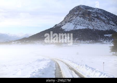 Plaine de Caille enneigee, Parc régional des préalpes d'Azur, Alpes Maritimes, 06, Côte d'Azur, France Banque D'Images