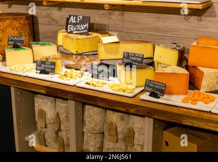 Variété de fromages exposés dans la salle des fromages de la ferme, Suffolk, Angleterre, Royaume-Uni Banque D'Images