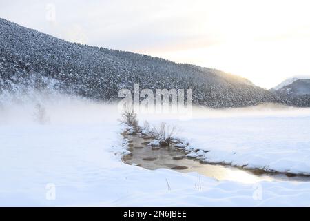 Plaine de Caille enneigee, Parc régional des préalpes d'Azur, Alpes Maritimes, 06, Côte d'Azur, France Banque D'Images