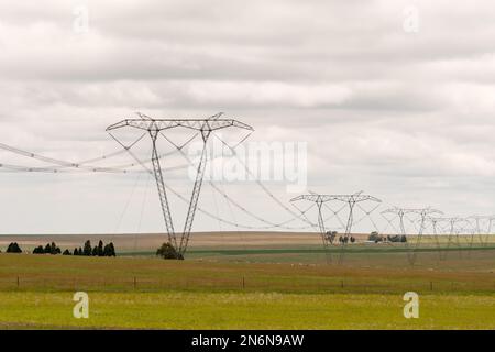 Lignes électriques, pylônes d'électricité traversant une ferme de moutons dans l'État libre, crise énergétique du concept d'Afrique du Sud et Eskom Banque D'Images