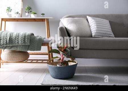 Couverture tricotée pliée sur le banc près du canapé à l'intérieur. Intérieur de la maison Banque D'Images