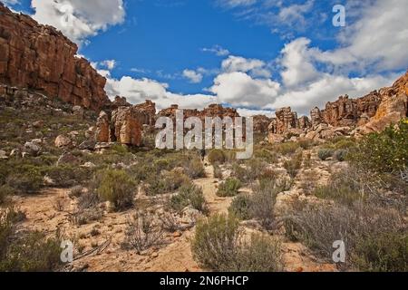 Formations rocheuses intéressantes à Truitjieskraal, dans la région de Cederberg Wildernis, Cap-Occidental, Afrique du Sud Banque D'Images