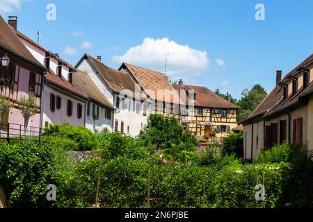 Bergheim, petite ville sur la route des vins d'Alsace avec des bâtiments médiévaux, un mur défensif et une atmosphère charmante Banque D'Images