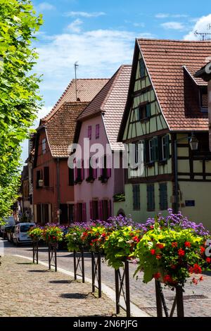 Bergheim, petite ville sur la route des vins d'Alsace avec des bâtiments médiévaux, un mur défensif et une atmosphère charmante Banque D'Images