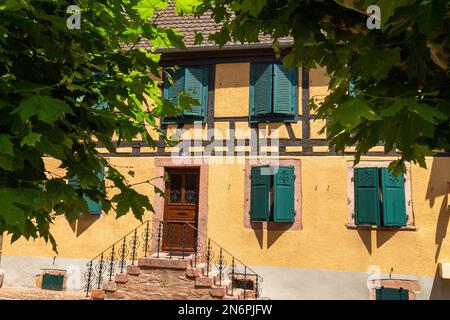 Bergheim, petite ville sur la route des vins d'Alsace avec des bâtiments médiévaux, un mur défensif et une atmosphère charmante Banque D'Images