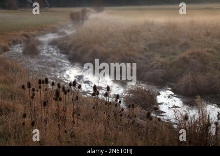 Paysage automnal d'une rivière dans la brume; Parc régional des prealpes d'Azur, Alpes Maritimes, 06, Côte d'Azur, France Banque D'Images