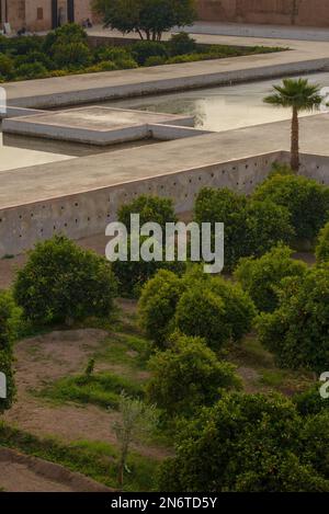 L'architecture complexe de Marrakech, au Maroc, prend vie au milieu de la végétation luxuriante des orangers. Leurs fleurs parfumées ajoutent une touche o Banque D'Images