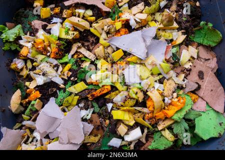 Gros plan des déchets alimentaires et du papier dans une affiche à ver Banque D'Images