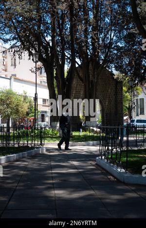 La Paz, Bolivie - 1 octobre 2022: Homme marchant dans les ombres des arbres lors d'une journée très ensoleillée Banque D'Images