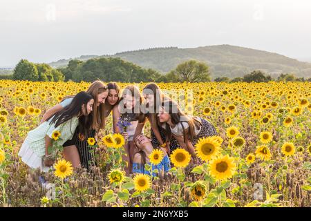 Adolescentes s'amusant dans un champ de tournesol en fin d'après-midi d'été, espace de copie Banque D'Images