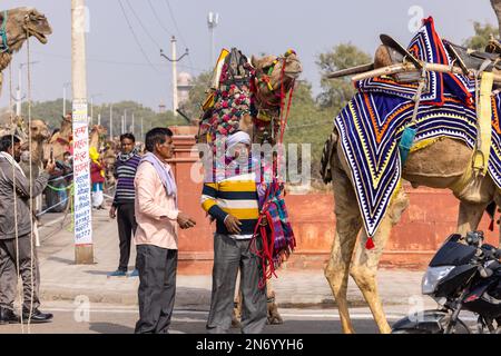 Bikaner, Inde - Jan 2023: Artistes du rajasthan qui produisent de la musique folklorique tout en participant au festival de chameau à bikaner. Banque D'Images