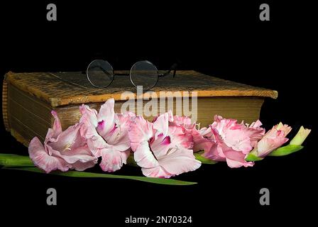 Gladiolus rose avec l'ancienne Bible Banque D'Images