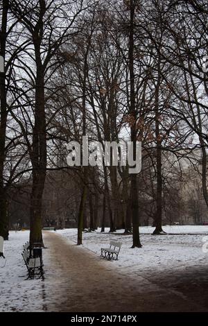 Le jardin Saxon - Ogród Saski - un jardin public dans le centre de Varsovie, un jour enneigé Pologne, Banque D'Images
