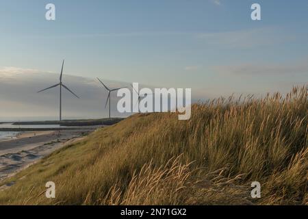 Éoliennes, Danemark, Mer du Nord, nature, plage Banque D'Images