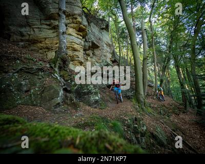 E-motard de montagne sur un seul sentier dans le Mullerthal. Chemin rocailleux étroit sur la pente raide le long de la vallée de Sauer en direction de Berdorf. Pour de bons motards facile à monter, pour les débutants Border, parce que étroit, partiellement exposé et jonché de pierres et de rochers. Ci-dessous coule la frontière de la Sauer, de l'autre côté est la partie allemande du Müllertal. Banque D'Images